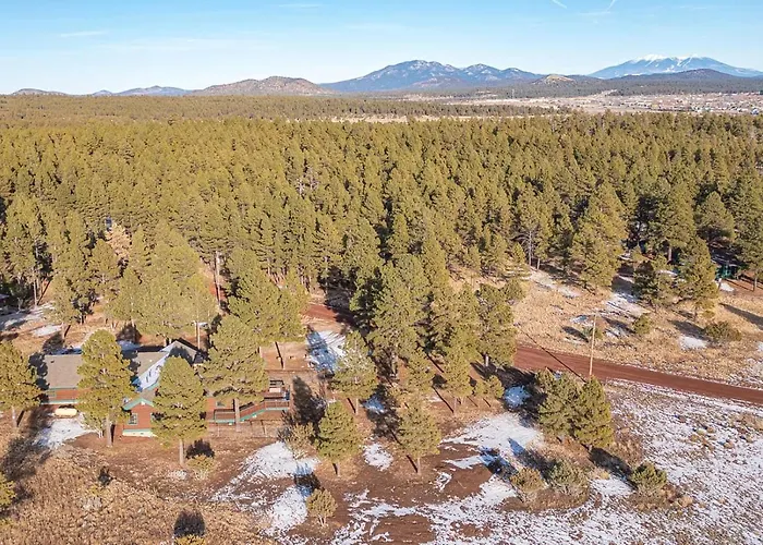 Cozy Custom In The Pines-williams Az * Williams